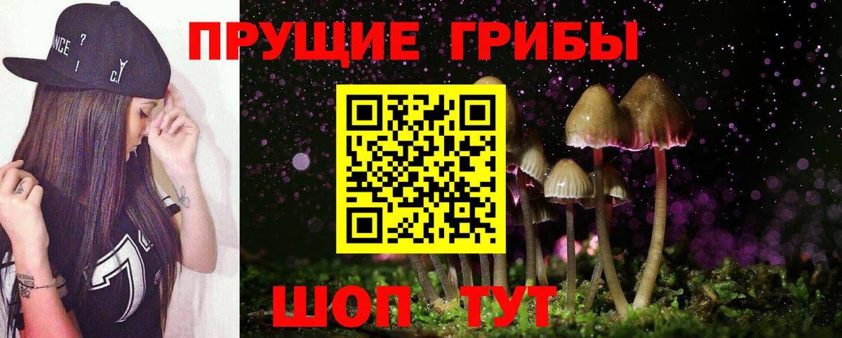 Псилоцибиновые грибы Magic Shrooms Ревда