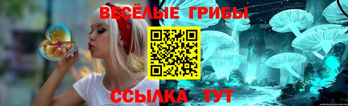 Ревда  как найти   Вход с VPN  Галлюциногенные грибы Psilocybine cubensis 